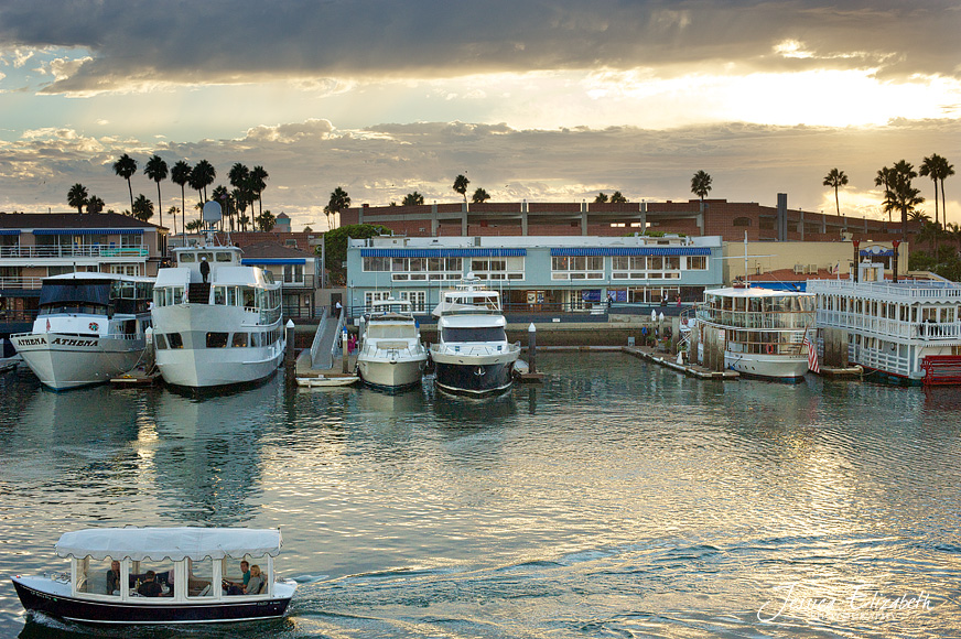 Electra Cruises Wedding Photography Newport Beach Ca Mark