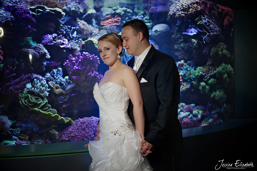 Aquarium of the Pacific Wedding Photography Long Beach 01.jpg