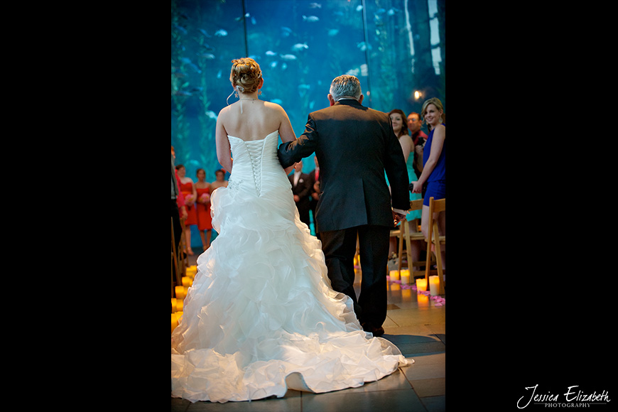 Aquarium of the Pacific Wedding Jessica Elizabeth Photography Long Beach-20.jpg