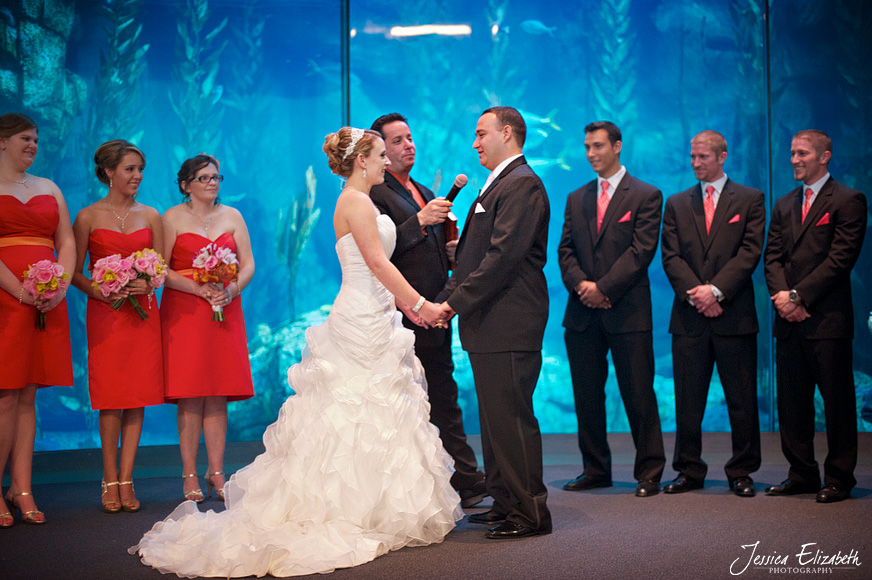 Aquarium of the Pacific Wedding Jessica Elizabeth Photography Long Beach-23.jpg
