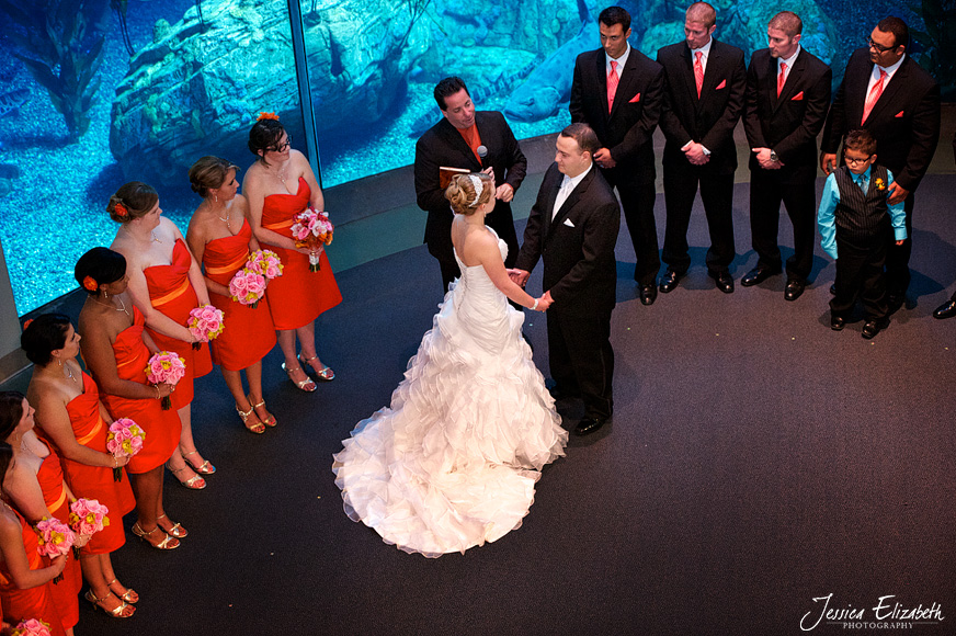 Aquarium of the Pacific Wedding Jessica Elizabeth Photography Long Beach-24.jpg