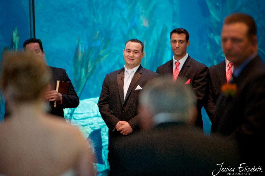 Aquarium of the Pacific Wedding Jessica Elizabeth Photography Long Beach-25.jpg