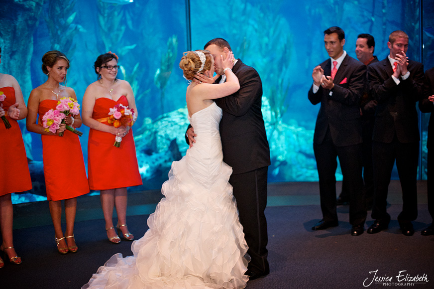 Aquarium of the Pacific Wedding Jessica Elizabeth Photography Long Beach-27.jpg