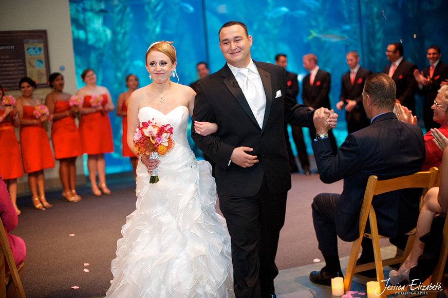 Aquarium of the Pacific Wedding Jessica Elizabeth Photography Long Beach-28.jpg