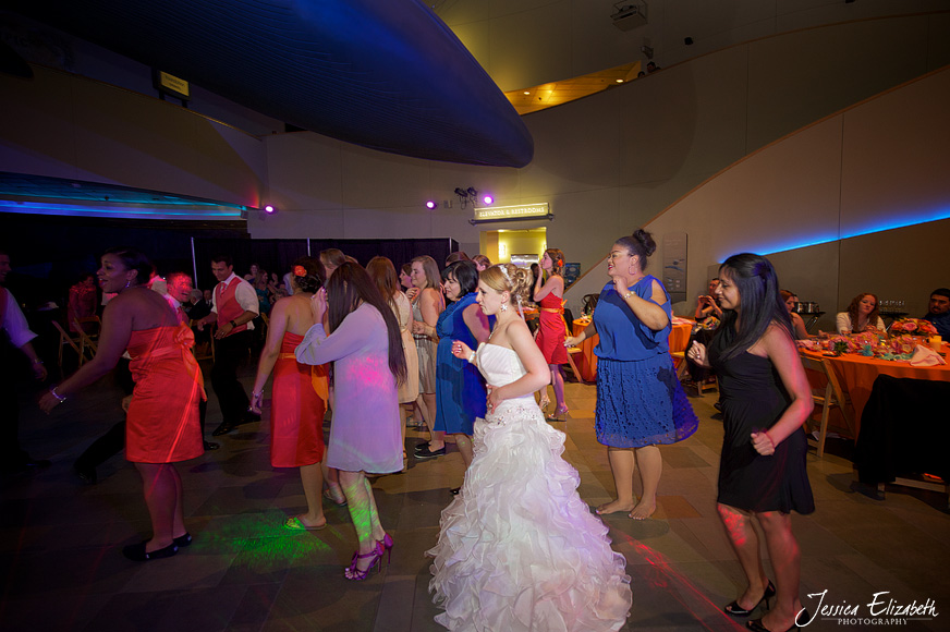 Aquarium of the Pacific Wedding Jessica Elizabeth Photography Long Beach-39.jpg