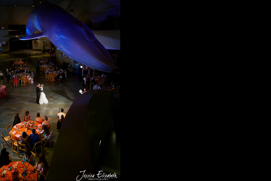 Aquarium of the Pacific Wedding Jessica Elizabeth Photography Long Beach-42.jpg