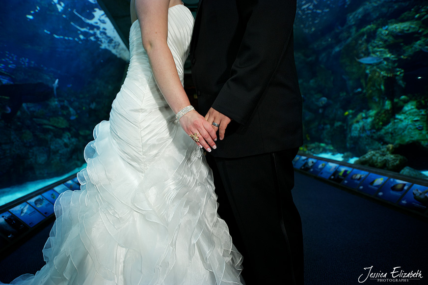 Aquarium of the Pacific Wedding Jessica Elizabeth Photography Long Beach-45.jpg
