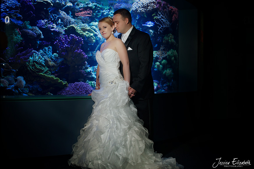 Aquarium of the Pacific Wedding Jessica Elizabeth Photography Long Beach-46.jpg