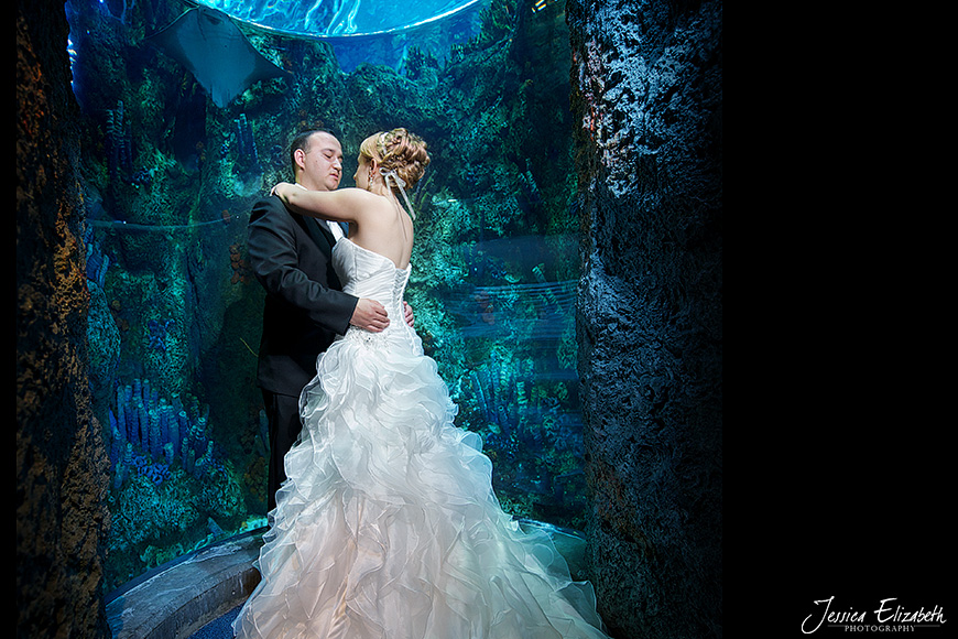 Aquarium of the Pacific Wedding Jessica Elizabeth Photography Long Beach-48a.jpg