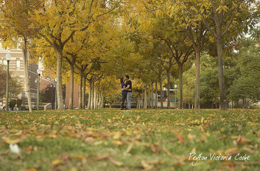 24-USC Engagement Shoot - Los Angeles Wedding Photographer_PVC.jpg