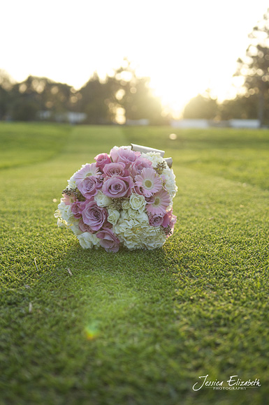 Jessica_Elizabeth_Photography_Pixie's_Petals_ Pink_White_Sun_Flare.jpg