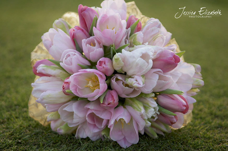 Jessica_Elizabeth_Photography_Pixie's_Petals_ Tulip_ Top.jpg