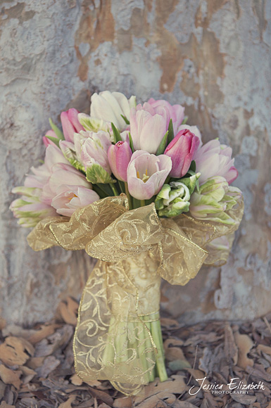 Jessica_Elizabeth_Photography_Pixie's_Petals_ Tulips_ Faded_Tree.jpg