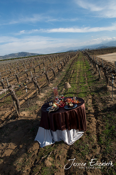 Ponte_Winery_Jessica_Elizabeth_Photography_Vineyard_Table.jpg