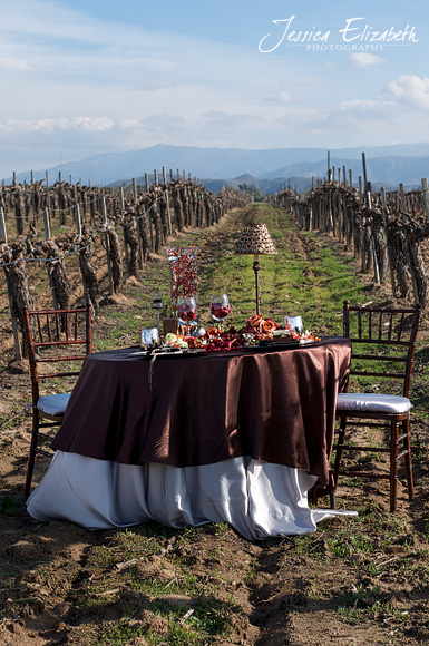 Ponte_Winery_Jessica_Elizabeth_Photography_Vineyard_Table_Chairs.jpg