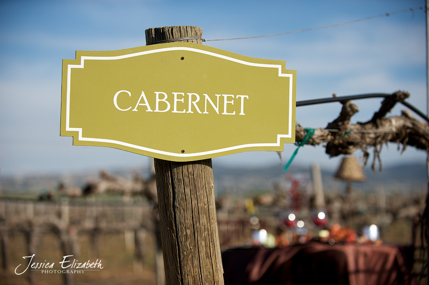 Ponte_Winery_Wedding_Photography_Cabernet.jpg