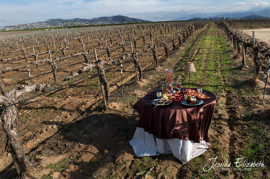 Ponte_Winery_Wedding_Photography_Wide_Vineyard.jpg