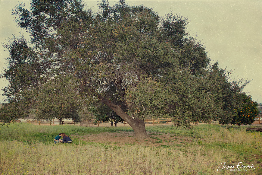 San Juan Capistrano Engagement Photography-15.jpg